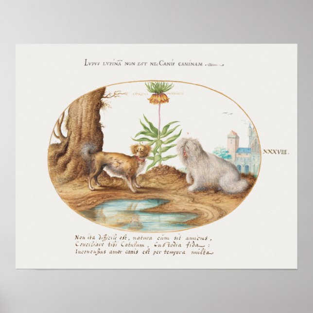 Vintage Pups Poster (Frente)