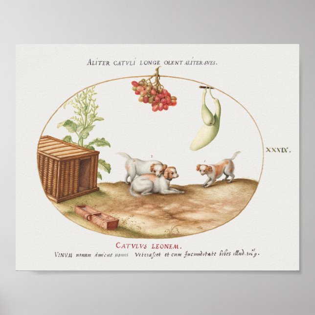 Vintage Pups Poster (Frente)