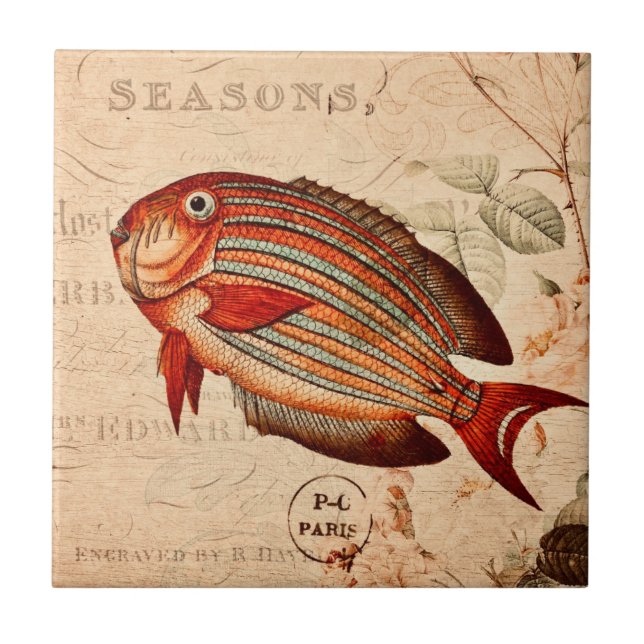 Vintage Red Fish Floral Ilustração (Frente)