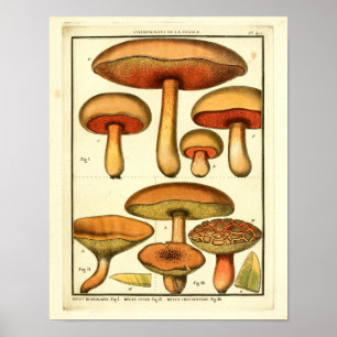 Vintage Red Mushrooms Franceses Impressão