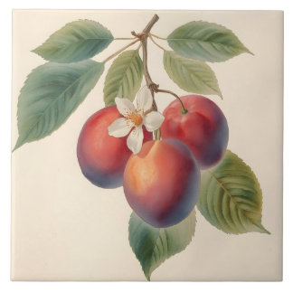 Vintage Red Plum Fruit Branch with Plum Blossom 