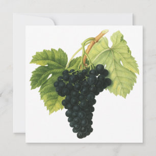 Vintage Red Wine Organic Graph Cluster, Comida Fru