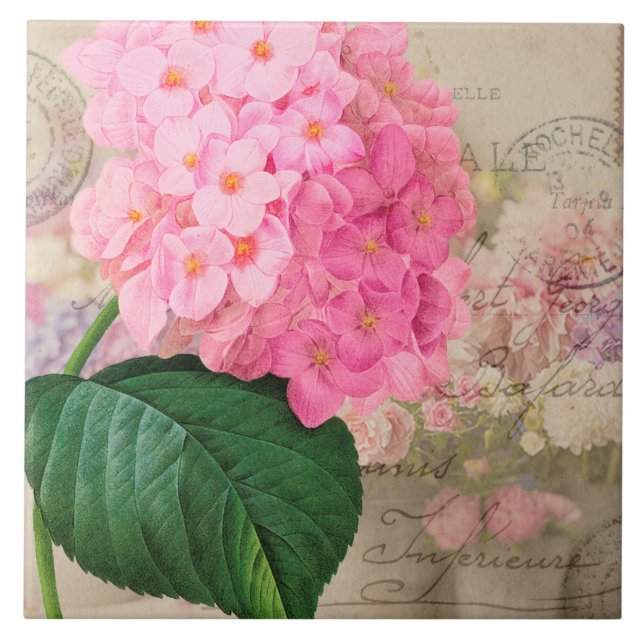 Vintage Redouta Rosa Hydrangea Azulejo cerâmica (Frente)