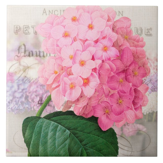 Vintage Redouta Rosa Hydrangea Azulejo cerâmica (Frente)