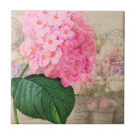 Vintage Redouta Rosa Hydrangea Azulejo cerâmica