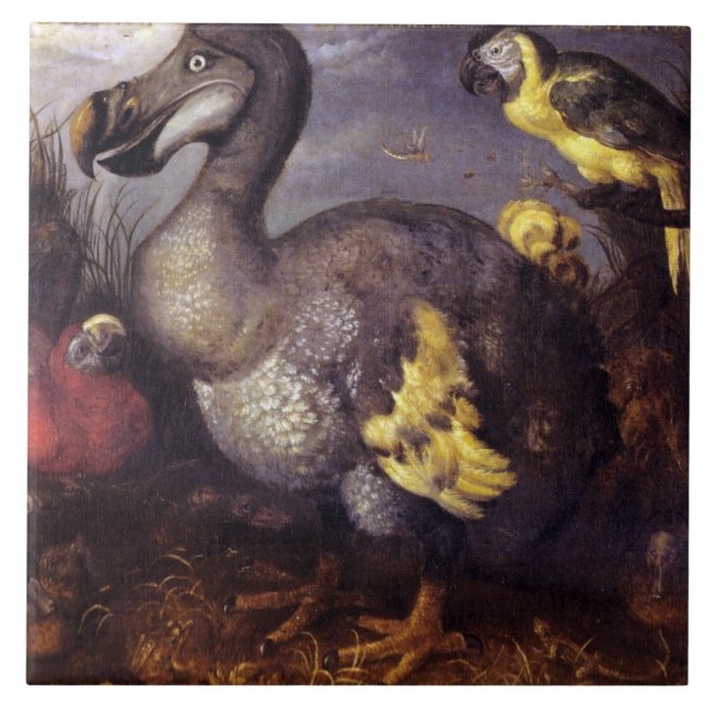 Vintage Roelant Savery Saverys Dodo (Frente)