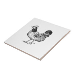 Vintage Rooster