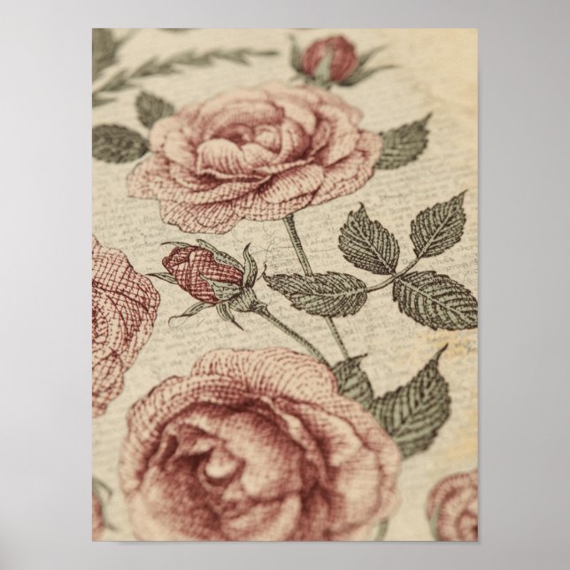 Vintage Rose Garden Botanical Poster (Frente)