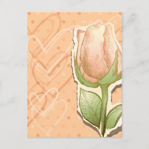 Vintage rosebud, cartão postal