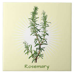 Vintage Rosemary Herb Botanart Azulejo cerâmico