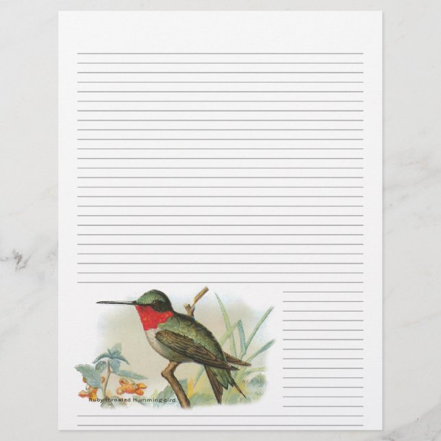 Vintage Ruby Throated Hummingbird Lined Letterhead (Frente)