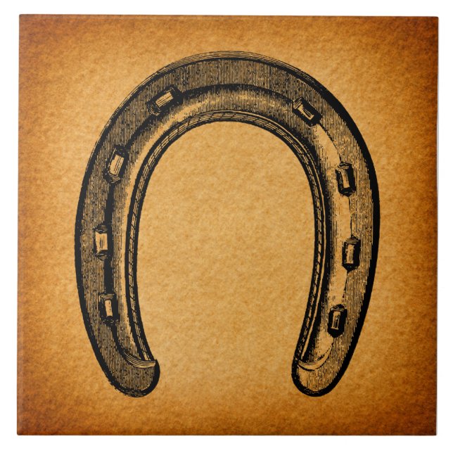 Vintage - Sapato de Cavalo Ocidental (Frente)