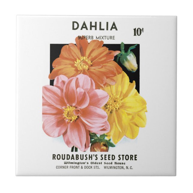 Vintage Seed Packet Art, Dahlia Garden Flowers (Frente)