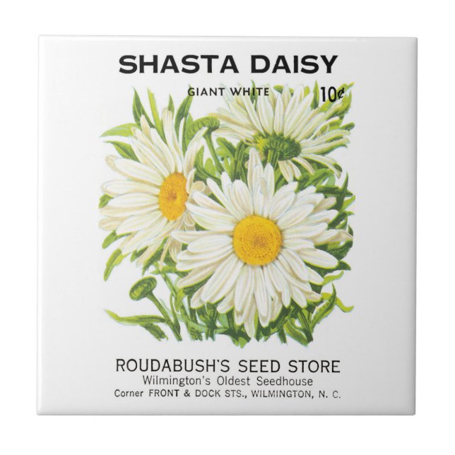 Vintage Seed Packet Art, Shasta Daisy Flowers (Frente)