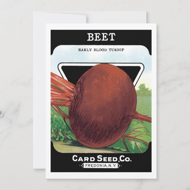 Vintage Seed Packet Label Art, Beet Vegetables (Frente)
