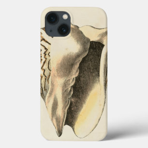 Vintage Sepia Conch Shell
