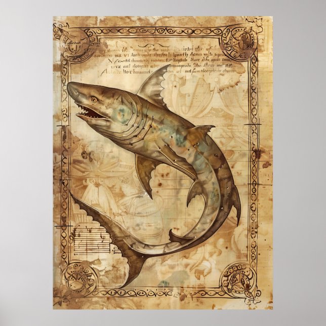 Vintage Shark Illustration Poster (Frente)