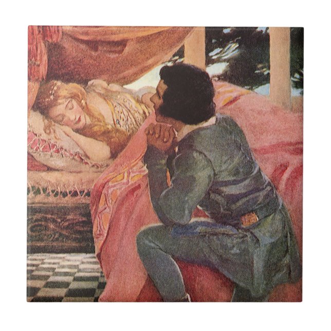 Vintage Sleeping Beauty por Jessie Willcox Smith (Frente)