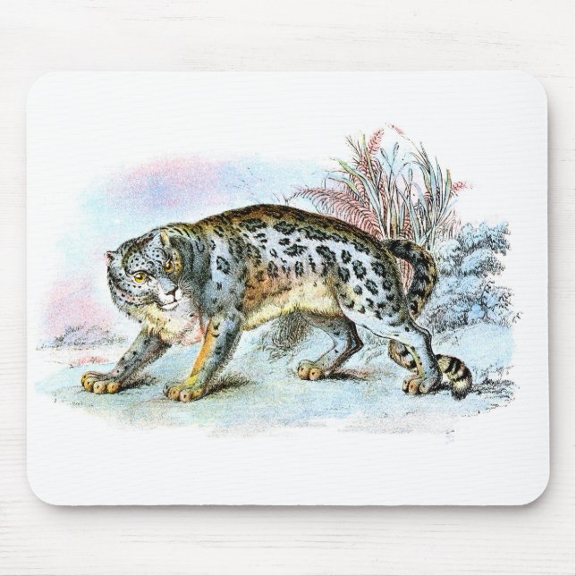 Vintage Snow Leopard Ilustração Mousepad (Frente)