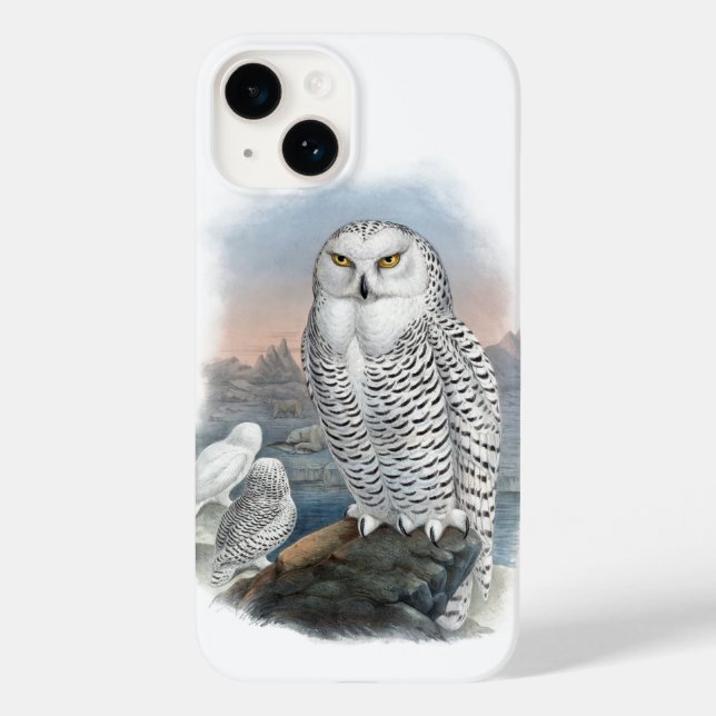 Vintage Snowy Owl Gould (Verso)
