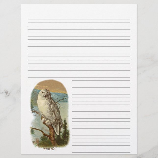 Vintage Snowy Owl Lined Letterhead (Frente)