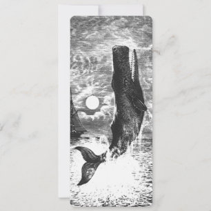 Vintage Sperm Whale Breaking, Animais Marinhos