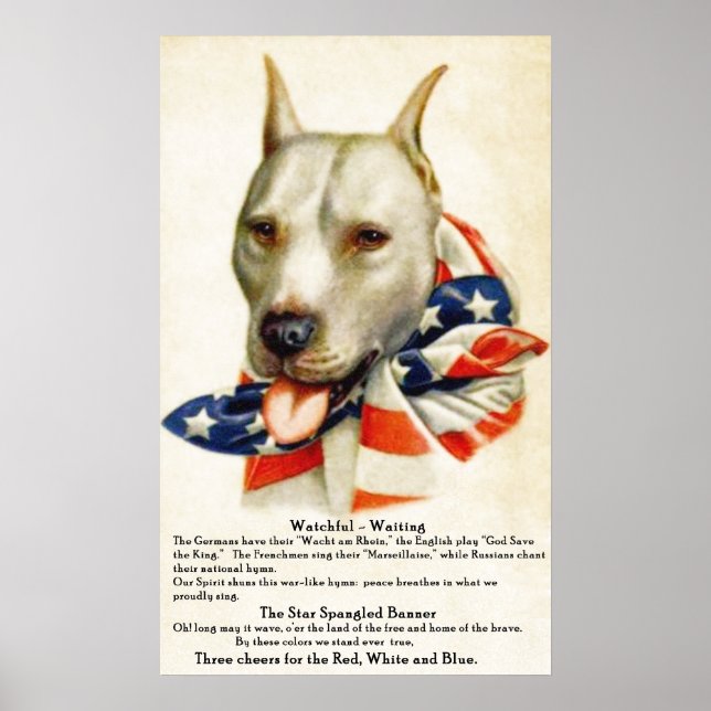 Vintage Star Spangled Banner Boit Dog 2 Poster (Frente)