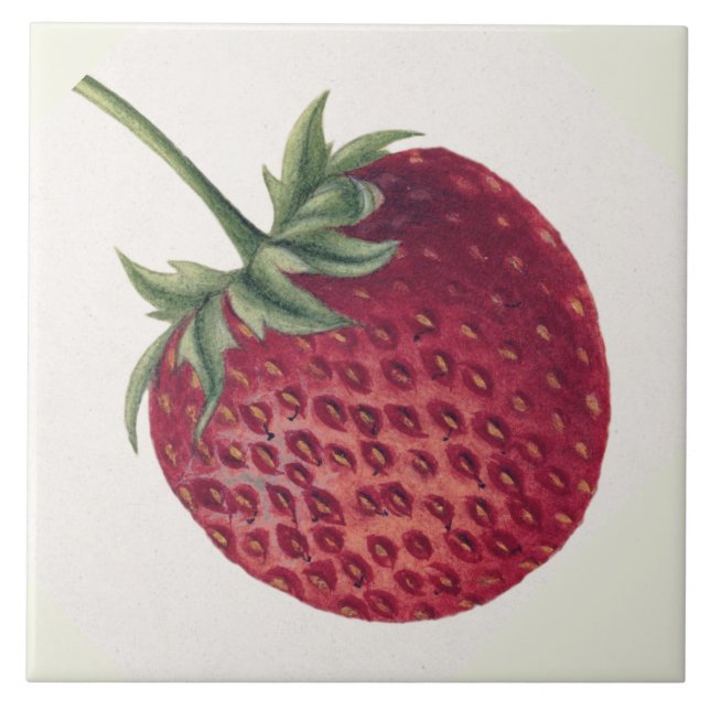 Vintage Strawberry (Frente)
