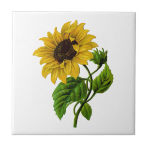 Vintage Sunflower Custom Gift Item