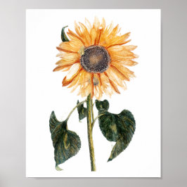 Vintage Sunflower Poster
