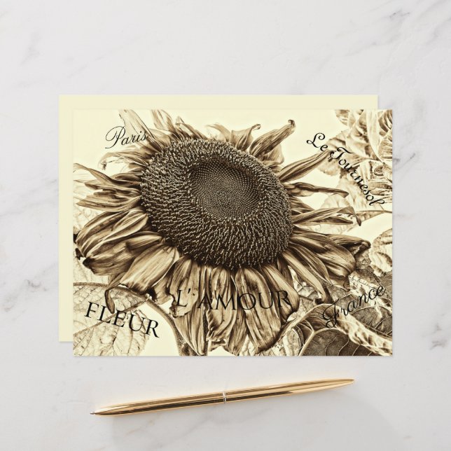 Vintage Sunflower Sepia Tone Old Script Decoupage (Frente/Verso In Situ)