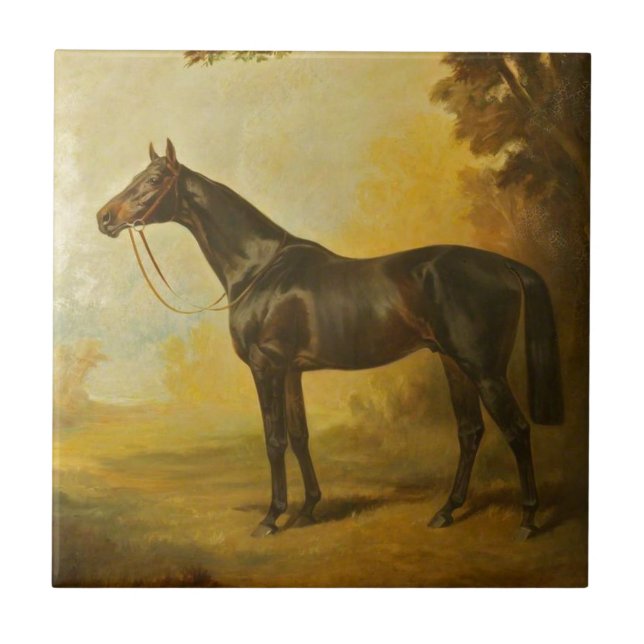 Vintage Thoraloged Horse (Frente)