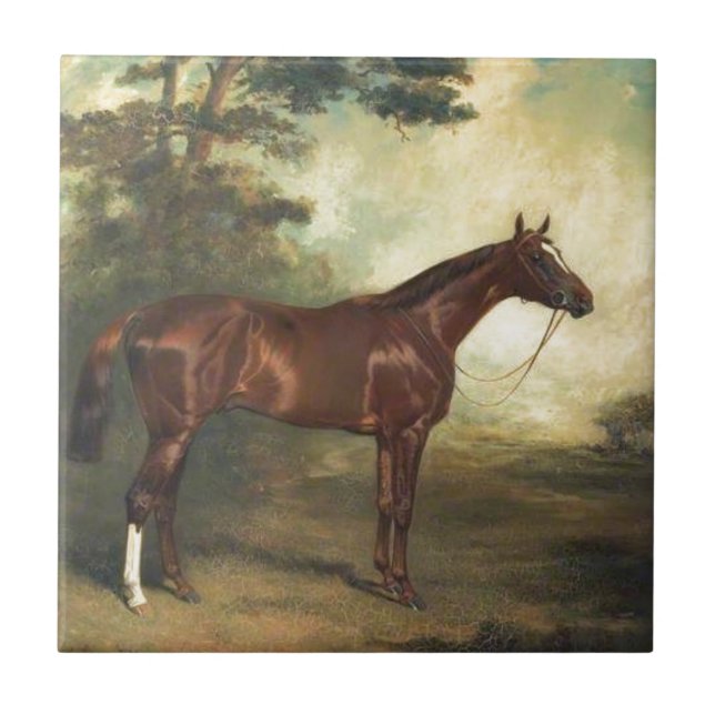 Vintage Thoraloged Horse (Frente)