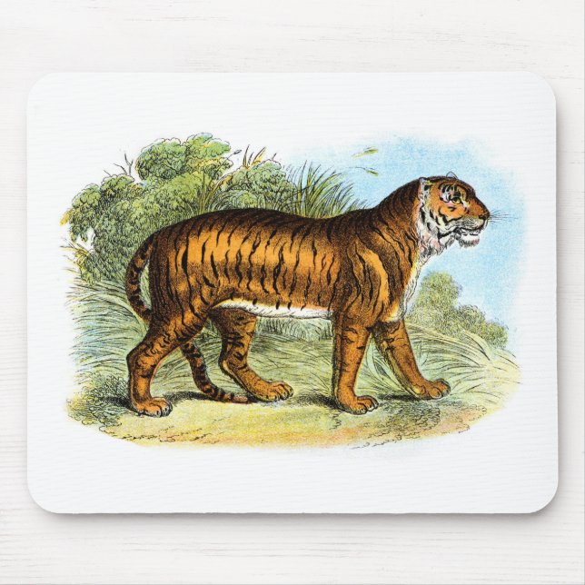 Vintage Tiger Illustration Mousepad (Frente)