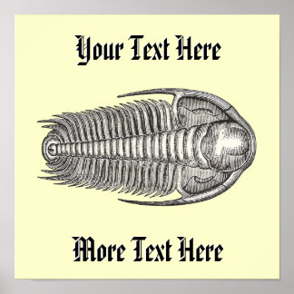 Vintage Trilobite Impressão