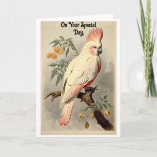 Vintage Tropical Bird Birthday - Cartão de Anivers