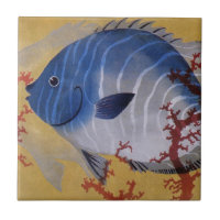 Vintage Tropical Blue Fish Coral Marine Ocean Life