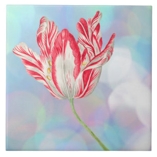 Vintage Tulip Cerâmica Azulejo