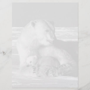 Vintage USA Alaska mãe urso polar