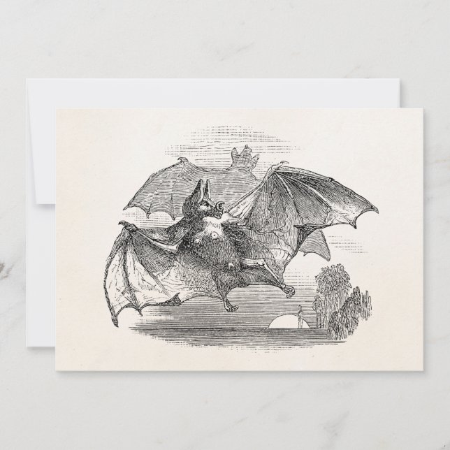 Vintage Vampire Bats Personalizados Retro Bats (Frente)