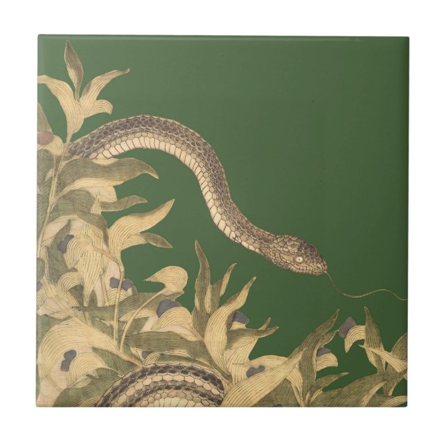 Vintage verde Cobra (Frente)