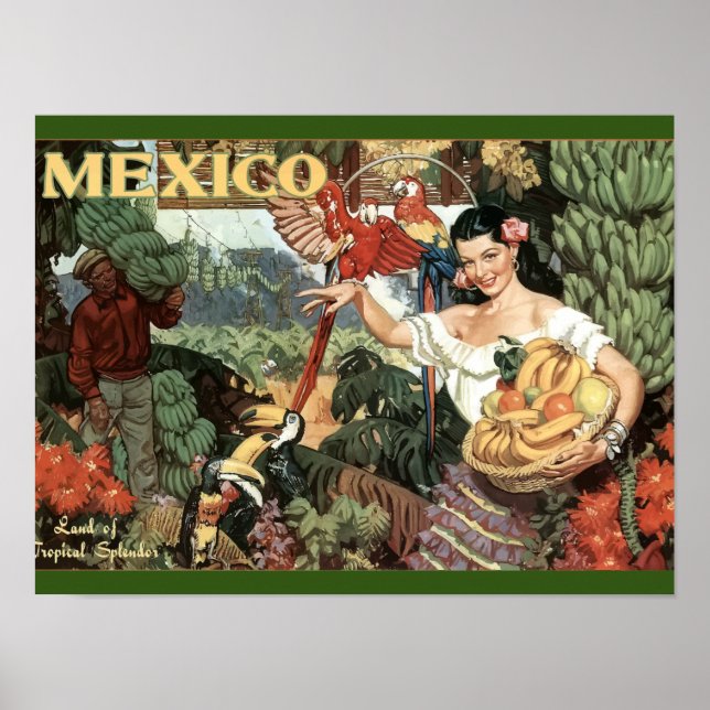 Vintage - Viagem - Poster - México - Tropical (Frente)