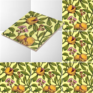 Vintage Victorian Era Pomegranate