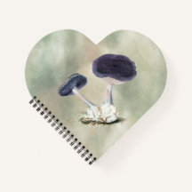 Vintage Violet Webcap Mushroom