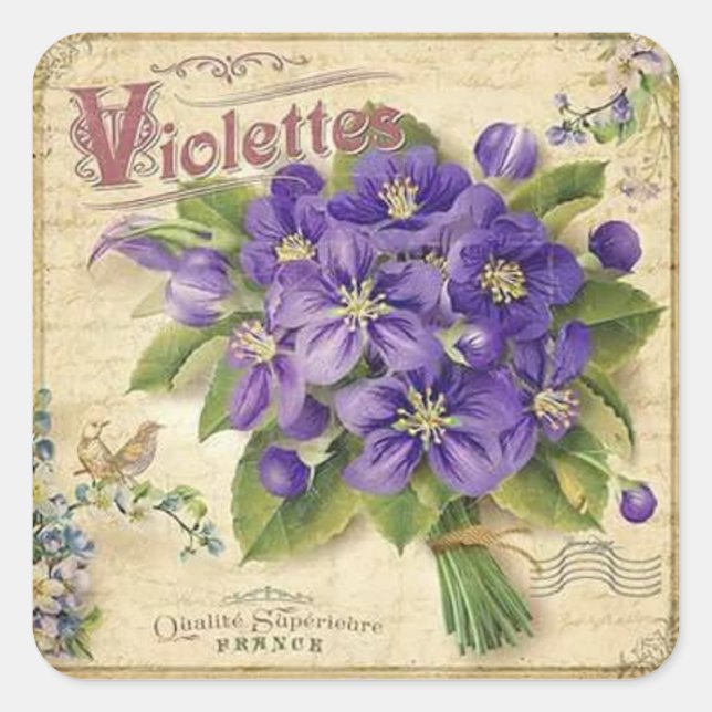 Vintage violetas florais elegante adesivo (Frente)