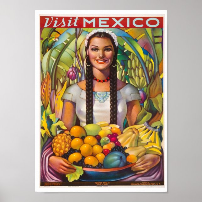 Vintage Visite o Poster de viagens do México (Frente)