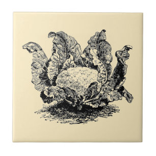 Vintage vitoriana era couve-flor vegetal