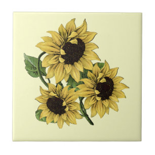 Vintage Watercolor Design