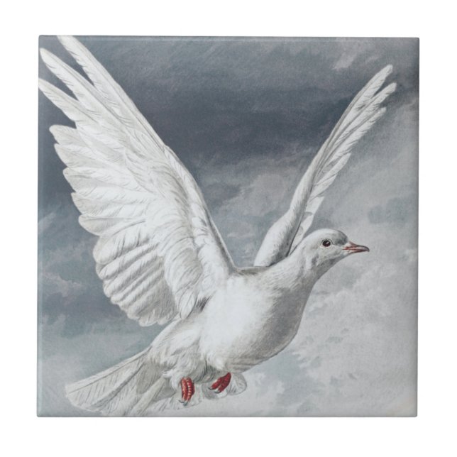 Vintage White Dove (Frente)