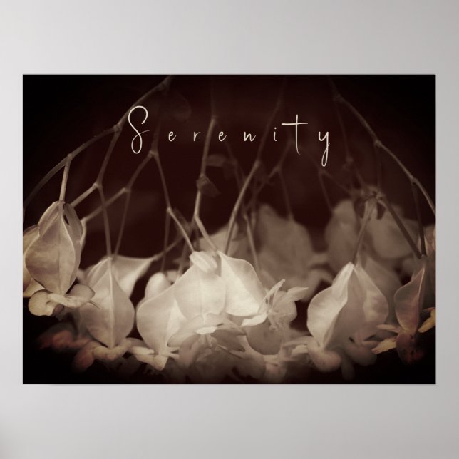 Vintage White Floral Poster (Frente)